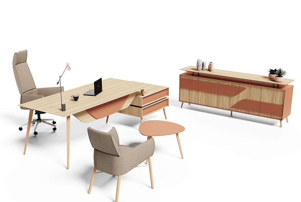 Torenna-E Yönetici Takımı