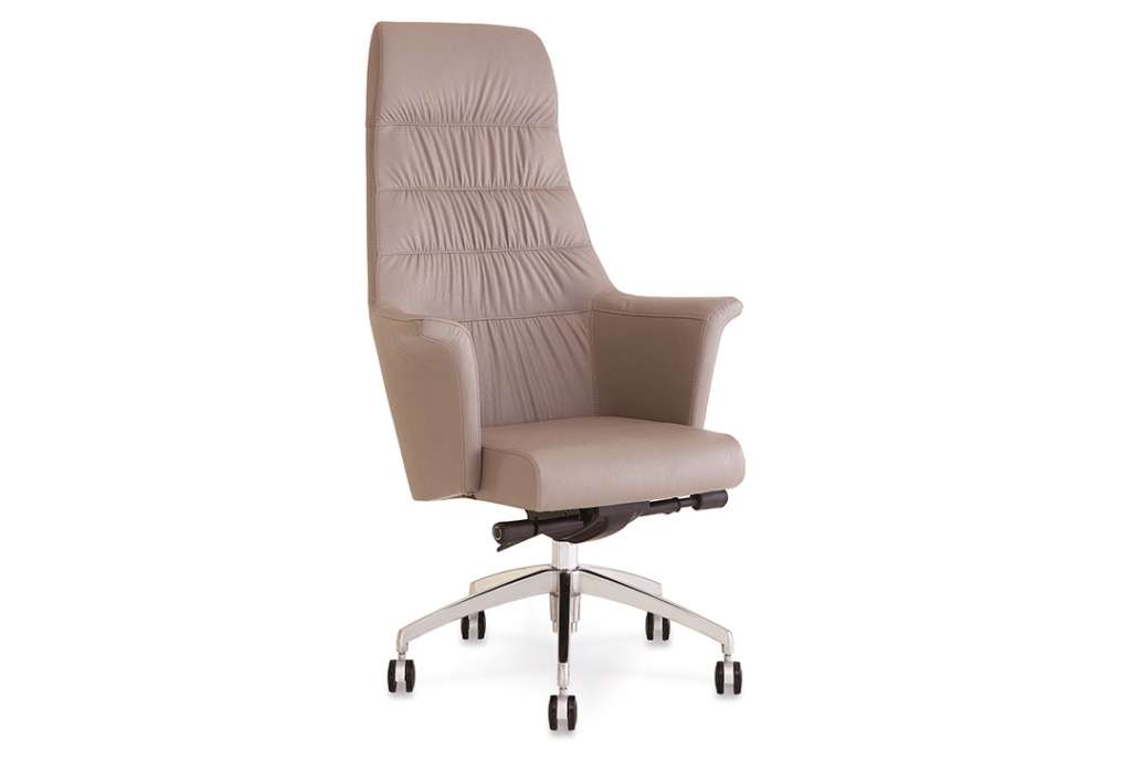 Ferre Yönetici Koltuğu